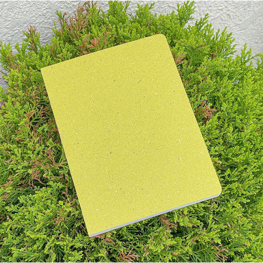 Gelbes Chlorophyll Note aus nachhaltigem Papier auf einer gruenen Pflanze.